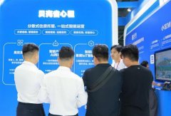 统化展现“聪慧找好房”、“聪慧拆好房”及“