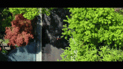 园如许户均700㎡以上的庄园级独栋